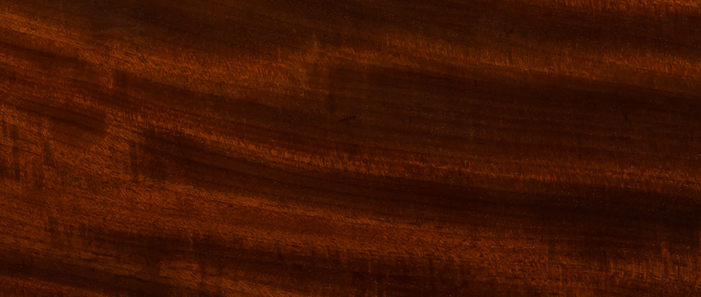 Cuban mahogany from an antique officer