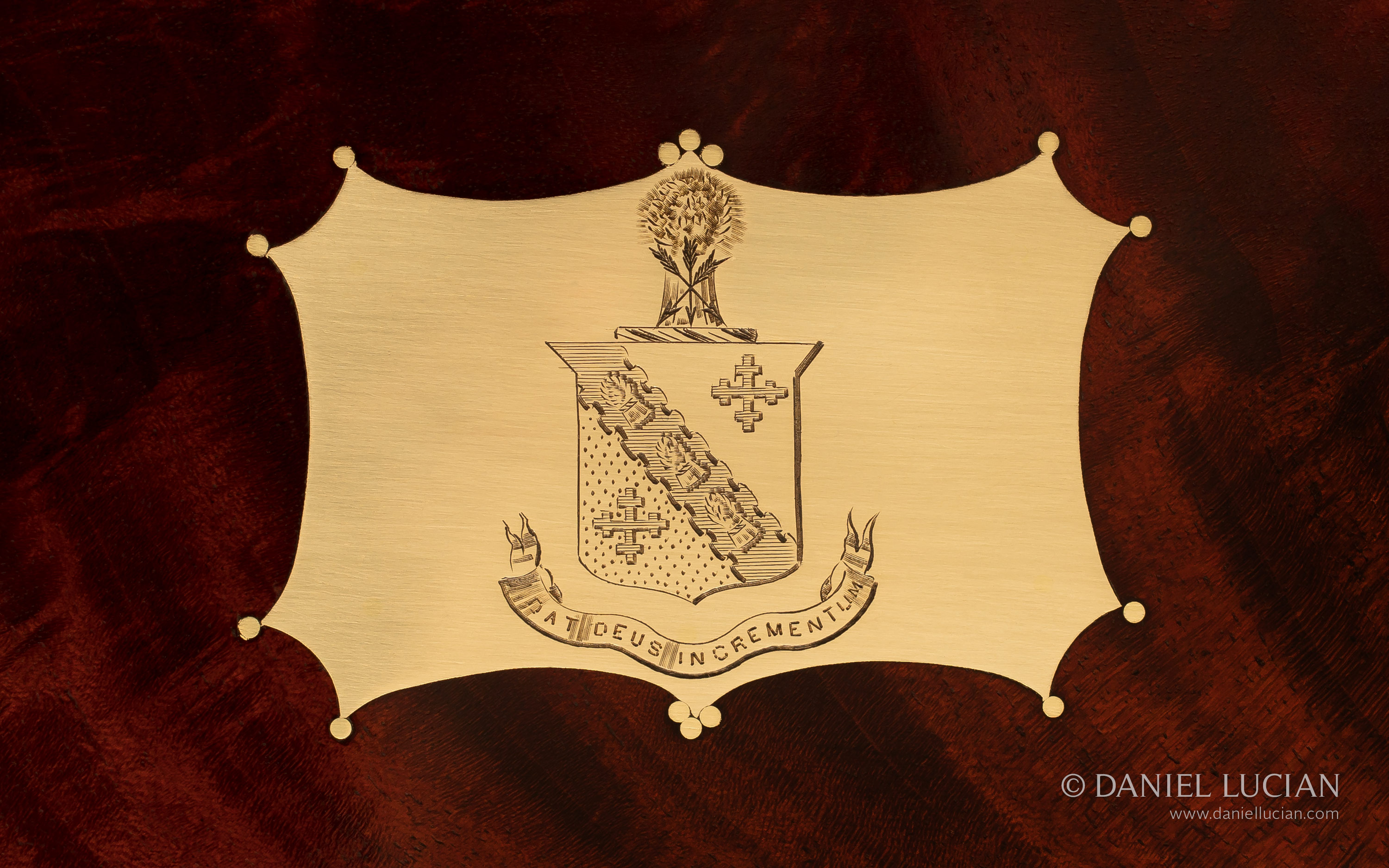 Engraved coat of arms from an antique jewellery box in flame mahogany.
