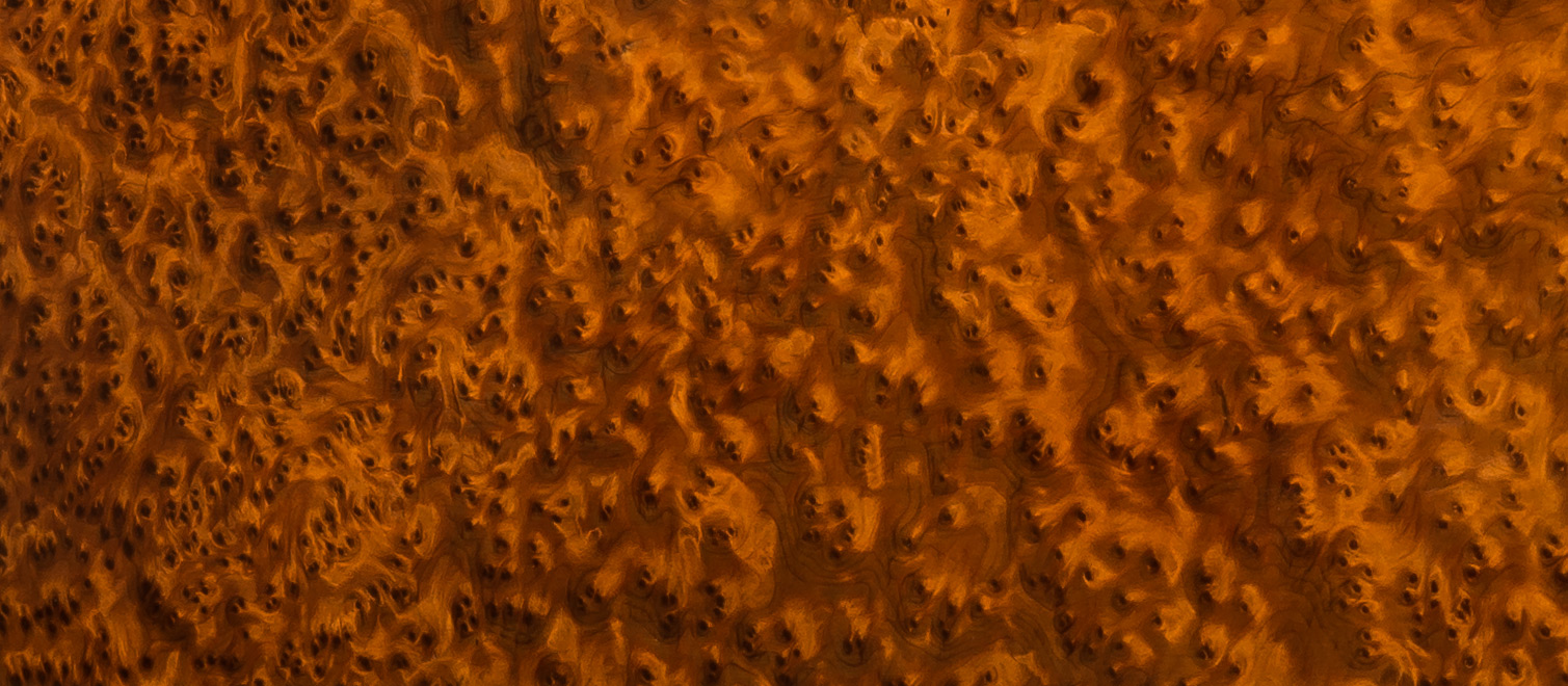 Thuya wood veneer from an antique jewellery box by Berthet à Paris.